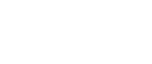 diozen consultora